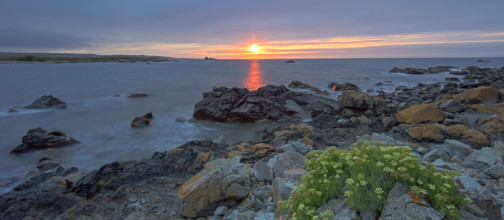 France, Manche (50) Omonville-la-Rogue, la pointe de Jardeheu l'anse ST-Martin au soleil couchant /