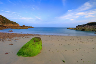 France, Manche (50) Jobourg, littoral maritime de la Hague proche du Nez-de-Jobourg, plage et récif