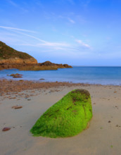 France, Manche (50) Jobourg, littoral maritime de la Hague proche du Nez-de-Jobourg, plage et récif