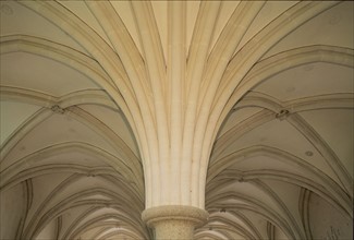 France, Normandie, sud Manche, abbaye d'hambye, vestiges, monument religieux, architecture gothique, voute nervuree,