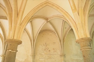 France, Normandie, sud Manche, abbaye d'hambye, vestiges, monument religieux, architecture gothique, voutes, chapiteaux,