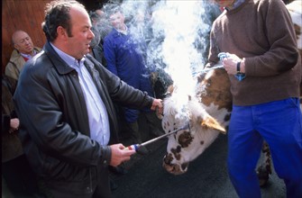 France, Normandie, eure, marais vernier, fete de l'etampage, marquage des vaches au fer, feu, chaque 1er mai