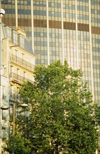 france, Paris 15, Tour Montparnasse, soleil couchant, arbre, immeuble, avenue du maine,