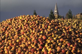 France, apple cider