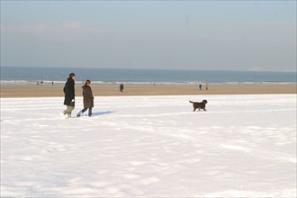 France, Normandie, calvados, cote fleurie, trouville sur mer, 20 centimetres de neige a Trouville (14) en janvier 2006, plage, panneau,