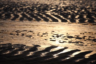 France, Basse Normandie, calvados, cabourg, plage, sable, maree basse, effet de lumiere, ondes,