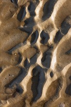 France, Basse Normandie, calvados, cabourg, plage, maree basse, effets de matieres avec le sable, maree basse, ondes,