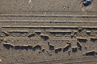 France, Basse Normandie, calvados, cabourg, plage, sable, traces de roues de char a voile dan sle sable,