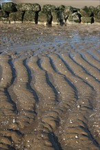 France, Basse Normandie, calvados, cabourg, plage, maree basse, effets de matieres avec le sable, maree basse, ondes,