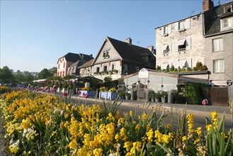 France, Basse Normandie, calvados, cote fleurie, Honfleur, restaurants du quai de la quarantaine, fleurs jaunes,