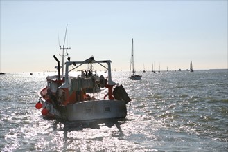 France, Basse Normandie, calvados, cote fleurie, Honfleur, entree du port, chalutier, Seine, estuaire, pe^che,