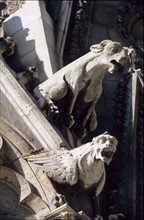 France, north gargoyles