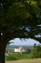 France, Haute Normandie, vallee de la Seine, eure, les andelys, chateau gaillard, vestige, richard coeur de lion, arbre,