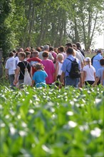 France, Haute Normandie, eure, pays de risle estuaire, randonnee, balades a la fraiche, groupe de randonneurs, chemins, loisir, marche,