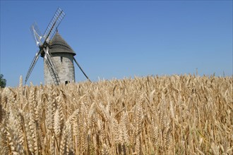 France, Haute Normandie, eure, moulin a vent, Hauville, champ de ble mur, cereales,
