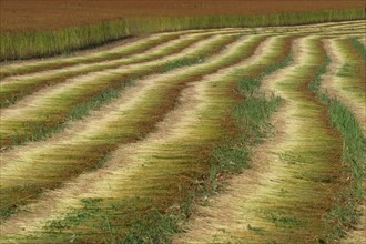 France, agriculture