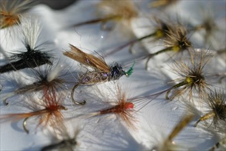 France, Haute Normandie, eure, evreux, truite, peche a la mouche en compagnie du guide Guillaume Le Garrec
boite de diverses mouches