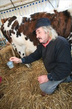 France, Haute Normandie, eure, evreux, fete de la pomme 4 novembre 2006, traite de la vache, fermier, costume traditionnel,