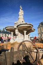 France, Haute Normandie, eure, evreux, fete de la pomme 4 novembre 2006, pommes et pressoir a la fontaine au pied de l'hotel de ville,