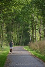 France, Haute Normandie, eure, Harcourt, bord de la voie verte, course a pied sur la voie verte, loisirs, sport, nature, jogging,