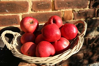 France, gauciel