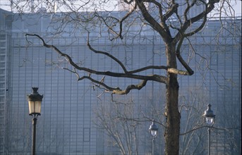 Paris, l'arbre et la ville