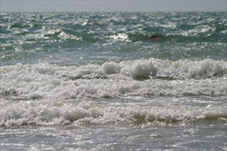 France, Basse Normandie, Manche, Cotentin, plage de Coutainville, mer, vagues,