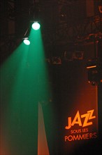 France, Basse Normandie, Manche, Cotentin, coutances, festival jazz sous les pommiers, mai 2006, ambiance concert, lumieres, light show,