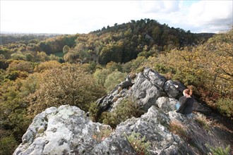 France, Normandie, Manche, la fosse arthour, saint georges de rouelley, randonneuse contemplant le site depuis un rocher, foret, vue sur la lande pourrie,