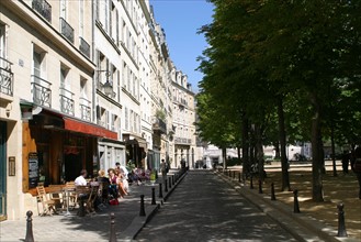 France, Paris 1er, ile de la cite, place dauphine, restaurant, promenade sous les arbres,