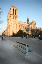 France, Paris 4e, ile de la cite, cathedrale Notre-Dame de Paris, art gothique et neo gothique, pont au double, banc public,