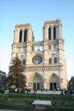 France, Paris 4e, ile de la cite, cathedrale Notre-Dame de Paris, art gothique et neo gothique, parvis, sapin de noel 2007,