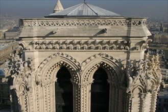 France, Paris 4e, ile de la cite, cathedrale Notre-Dame de Paris, art gothique et neo gothique, dans les hauteurs, sommet de la tour nord,