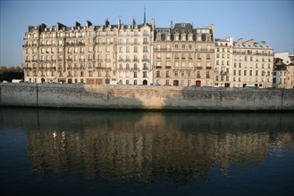 France, Paris 4e, ile de la cite, quai aux fleurs, la Seine, immeubles, arbre a la pointe de l'ile,