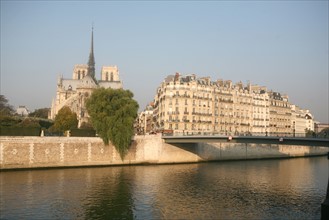 France, Paris 4e, ile de la cite, cathedrale Notre-Dame de Paris, quai aux fleurs, la Seine,
