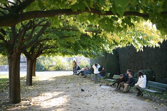 France, Paris 4e, ile de la cite, square de l'ile de France, arbres, bancs publics,