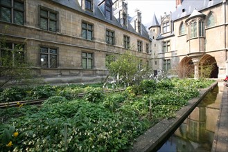 France, Paris 5e, hotel de cluny, musee du moyen age, cour d'honneur, 6 place painleve, rue du sommerard, jardin medieval,