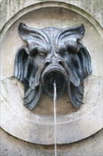 France, Paris 7e, fontaine de Mars, rue saint dominique, detail animal fantastique,