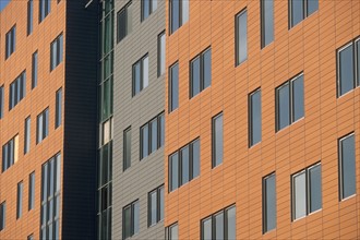 France, Paris 13e, quartier bibliotheque, immeubles avenue de france, architecture, fenetres,