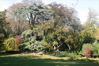 France, Paris 14e, parc Montsouris, jardin, alphand, arbres, pelouse,