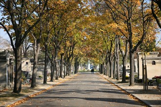 France, Paris 14e, cimetiere du Montparnasse, allee, arbres, automne, sepultures