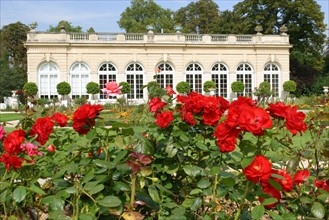 France, Paris 16e, bois de boulogne, parc de bagatelle, pavillon, orangerie, jardin, roseraie, roses rouges,