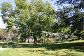 France, Paris 19e, parc de la butte du chapeau rouge, boulevard d' algerie, jardin public,