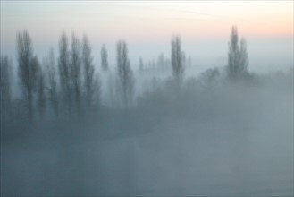 France, Normandie, Seine Maritime, vallee de la Seine aux environs de duclair dans le brouillard (vu d'un cargo), arbres,