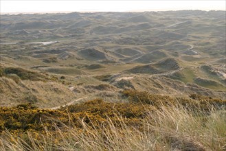 France, Basse Normandie, Manche, Cotentin, cap de la hague, dunes de biville, anse de vauville, sable, conservatoire du littoral, paysage, panorama,