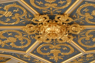 France, Normandie, Seine Maritime, Rouen, palais de justice, salle des procureurs, plafond, v, tribunal, cour d'assises, justice, neo gothique, plafond a caissons restaure de la cour d'assises, detail