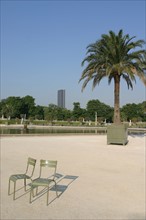 France, Paris 6e, jardin du Luxembourg, chaises vides, bassin, palmier, Tour Montparnasse au fond,