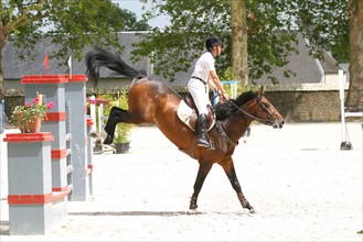 France, Basse Normandie, Manche, auvers, concours de saut d'obstacle, cso, alain hinard, sport equestre equitation, cheval selle francais,