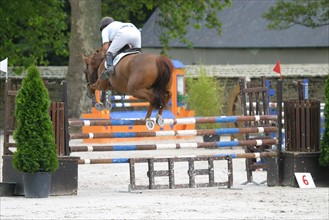 France, Basse Normandie, Manche, auvers, concours de saut d'obstacle, cso, alain hinard, sport equestre equitation, cheval selle francais,