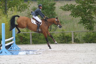 France, Basse Normandie, Manche, auvers, concours de saut d'obstacle, cso, alain hinard, sport equestre equitation, cheval selle francais,